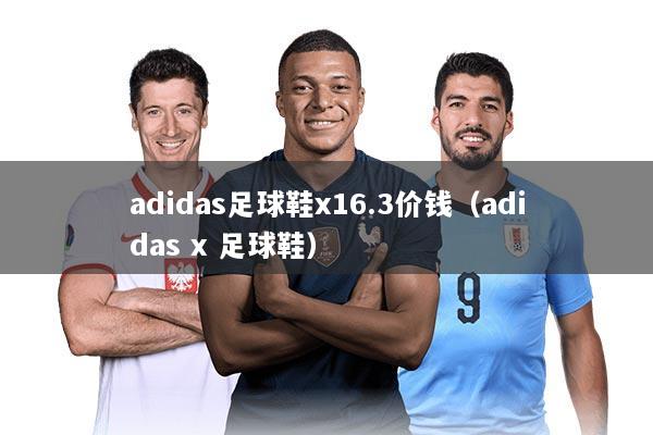 adidas足球鞋x16.3价钱（adidas x 足球鞋）