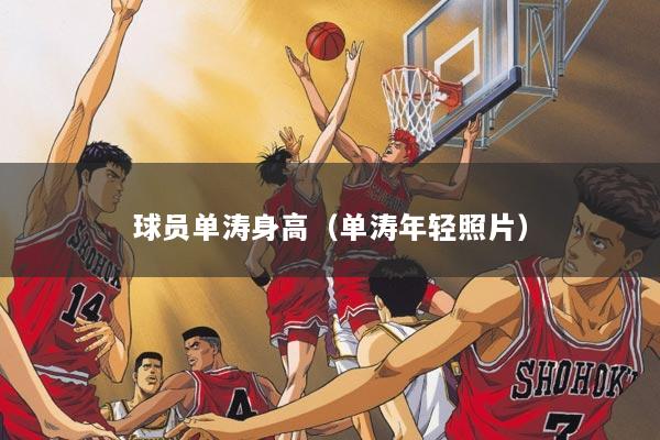 球员单涛身高（单涛年轻照片）