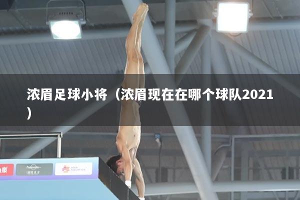 浓眉足球小将(浓眉现在在哪个球队2021)