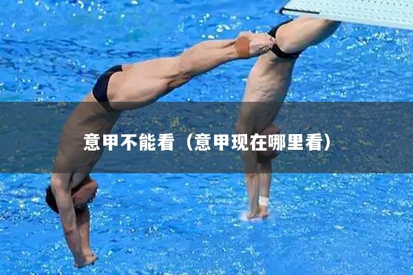 意甲不能看(意甲现在哪里看)