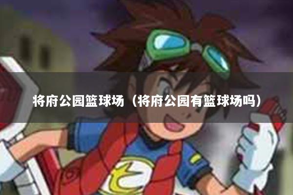 将府公园篮球场(将府公园有篮球场吗)