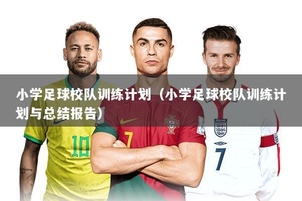 小学足球校队训练计划（小学足球校队训练计划与总结报告）