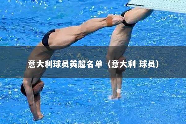 意大利球员英超名单（意大利 球员）