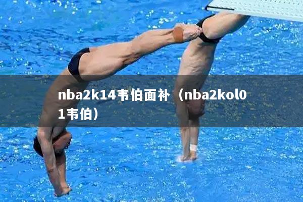 nba2k14韦伯面补（nba2kol01韦伯）