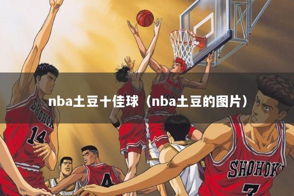 nba土豆十佳球(nba土豆的图片)